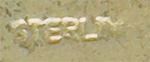 This bookmark was made in the US by F. A. Herman. It is marked with a hallmark of a triangle enclosing the letter H and sterling. The top is a white enamel shield with flowers. The date is 1900 - 1910.