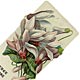 This bookmark was made in the US in 1912. It is a poem by Mary Frances Butts entitled "A Fence of Trust". The top is a picture of flowers. The back is marked Design copyrighted by Allan Sutherland 1912.