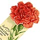 This bookmark was made in the US by Meek Company of Coshocton, Ohio. It is a celluloid advertising bookmark for Carnation cream and a souvenir of the Lewis and Clark exposition from 1905. It has a picture of a carnation flower on top with the bottom most petal as the blade which clips over a page. The bottom of the bookmark depicts a 'full pint can'" of Carnation Cream.  "