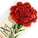 This bookmark was made in the US by The Whitehead and Hoag Co. of Newark, NJ. It is a celluloid advertising bookmark for Carnation Milk and a souvenir of the Panama-Pacific Exposition, San Francisco 1915. The top is a carnation flower and the bottom has a picture of cows and a can of Carnation Milk.  