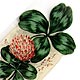 This bookmark was made in the US by The Whitehead and Hoag Co. of Newark, NJ. It is a celluloid  bookmark with a quote by Chas. Kingsley which reads "Be good sweet child and let who will be clever, Do noble things, not dream them all day long, And so make life, death and the vast forever, One grand sweet song." The top is a picture of a 4 leaf clover and it's flower. The date is 1905 - 1915.   
