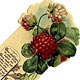  This bookmark was made in the US and is marked "Design copyrighted by Allan Sutherland 1912." It is a celluloid religious bookmark with a quote from the Bible, Exodus 20:3-17, the ten commandments. The top has a red flower with it's leaves.   
