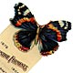  This bookmark was made in the US by F. F. Pulver Co, of Rochester, NY in 1904. It is a celluloid advertising bookmark for Fairchild Bros. & Foster for their Digestive Ferments products. The top is a picture of a butterfly. The back says "Panopepton, Fairchild's essence of Pepsine, Peptonising Tubes, Peptogenic Milk Power, Enzymol, Lecithin." 