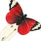  This bookmark was made in Germany. It is a butterfly with red, black and white wings. The inner blade says "1000 Islands" and the back is marked Germany. The date is 1920 - 1930.     