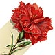  This bookmark was made in the US by Whitehead and Hoag Co. of Newark, NJ. It a celluloid advertising bookmark for the A.B. Chase Piano. It has a red carnation flower on top which is marked copyright 1902. The patent for this bookmark is dated 1905.  