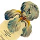  This bookmark was made in the US by the Whitehead and Hoag Company. It is a celluloid advertising bookmark for the Scruggs, Vandervoort & Barney Dry Foods Co. at the St. Louis Worlds Fair of 1904. The top is a light blue iris flower.  